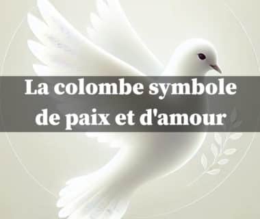 colombe symbole paix