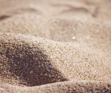 découvrez l'importance des bains de sable pour chinchillas : un rituel essentiel pour leur bien-être et leur hygiène. apprenez comment offrir à votre chinchilla un espace de bain parfait et les bienfaits de cette activité ludique sur leur santé.