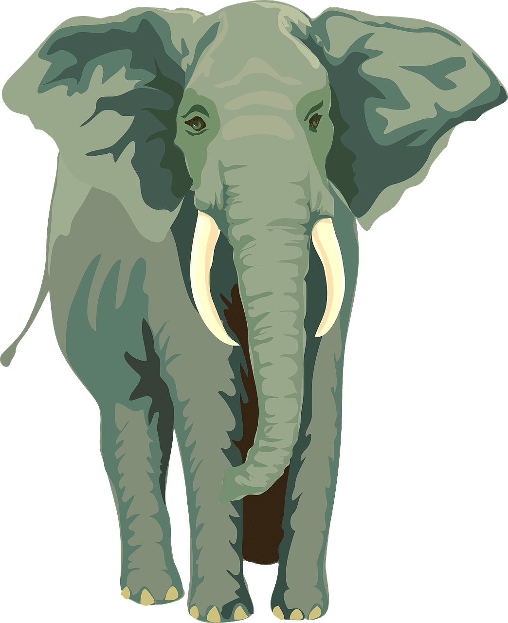 découvrez tout sur les éléphants, ces majestueux géants de la savane. apprenez leur comportement, leur habitat, leur préservation et les menaces qui pèsent sur leur existence. plongez dans l'univers fascinant des éléphants et soyez témoin de leur intelligence et de leur sociabilité.