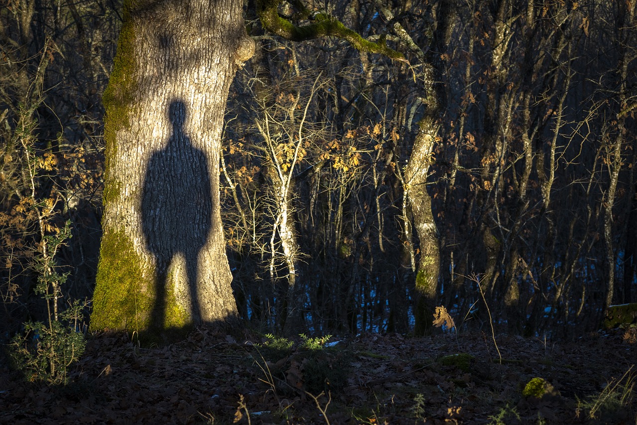 découvrez l'univers fascinant de 'goosebumps', une série à suspense pour les amateurs de frissons et d'histoires captivantes. plongez dans des aventures mystérieuses qui tiendront en haleine petits et grands. préparez-vous à frissonner avec des récits d'horreur palpitants !