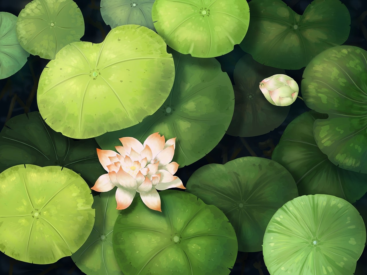 découvrez l'importance de la viabilité des graines de lotus, un élément clé pour la propagation et la conservation de cette plante aquatique emblématique. explorez les facteurs qui influencent leur germination et leur développement.